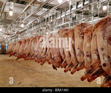 3 Chunks of beef ribs on meat hooks hanging in stainless steel kitchen or  freezer Stock Photo - Alamy