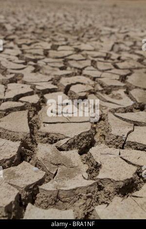 dried ground in the gadi sagar in jaisalmer Stock Photo