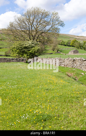 Dentdale near Cowgill in the Yorkshire Dales National Park. east of Dent, Cumbria