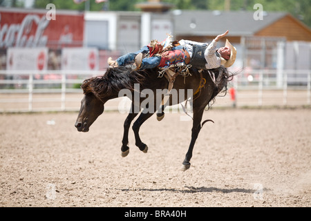 D.V.Fennell riding his bucking bronco during the 2009 Cheyenne Frontier Days Rodeo in Cheyenne Wyoming Stock Photo