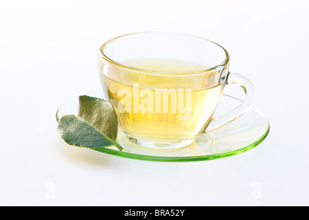 Green tea and leaf on white background Stock Photo