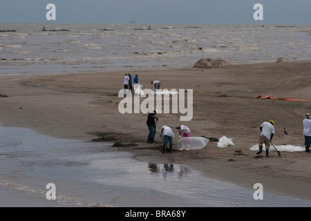 Clean-up workers on the beach at Grand Isle, Louisiana remove beached oil from the BP Oil Spill in the Gulf of Mexico. Stock Photo