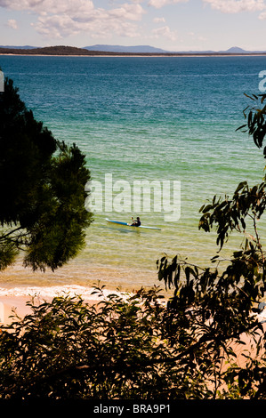 Beach, Noosa, Queensland, Australia, Pacific Stock Photo