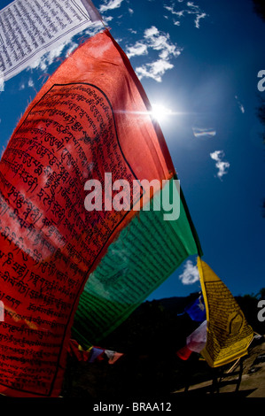 Prayer flags near Thimpu, Bhutan, Asia Stock Photo