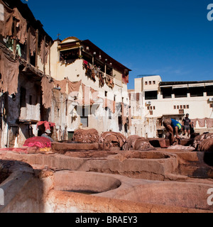 Fez Tannery, Fez, Morocco, North Africa, Africa Stock Photo