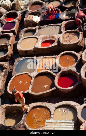 Fez Tannery, Fez, Morocco, North Africa, Africa Stock Photo