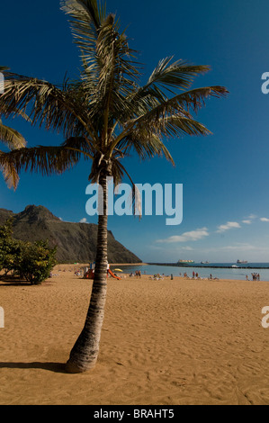 The beach Playa Teresita, Tenerife, Canary Islands, Spain, Atlantic, Europe Stock Photo