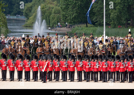 Guardsmen, artillery, horses, summer, a park, a lake, a fountain: 'Trooping the Colour' 2010 Stock Photo