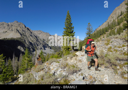 Valley Creek In The Sawtooth National Recreation Area, Idaho, Fenced To ...