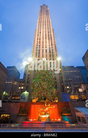 Christmas tree in front of the Rockefeller Centre building on Fifth Avenue, Manhattan, New York City, New York, USA Stock Photo