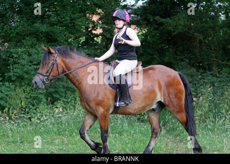 A teenage girl riding a beautiful bay Welsh Cob Stock Photo