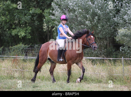 A teenage girl riding a beautiful bay Welsh Cob Stock Photo