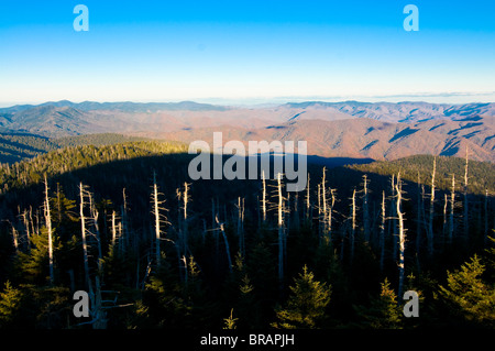 View over the Great Smoky Mountains National Park, UNESCO World Heritage Site, Tennessee, United States of America Stock Photo