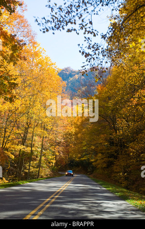 Road leading through colourful foliage in the Indian summer, Great Smoky Mountains National Park, Tennessee, USA Stock Photo