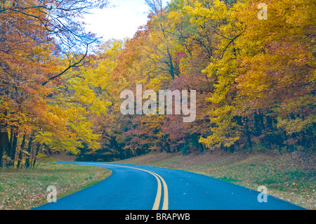 Road leading through trees with colourful foliage in the Indian summer, Blue Ridge Mountain Parkway, North Carolina, USA Stock Photo