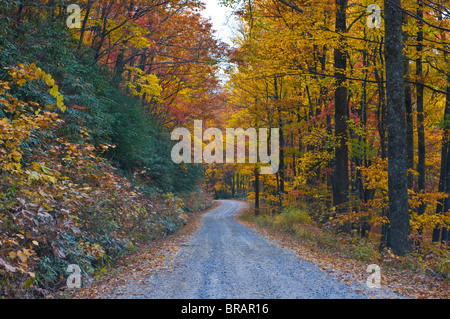 Road leading through trees with colourful foliage in the Indian summer, Blue Ridge Mountain Parkway, North Carolina, USA Stock Photo