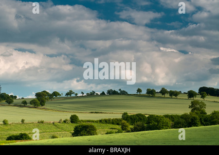 Rolling hills, near Guiting Power, Gloucestershire, Cotswolds, UK Stock Photo