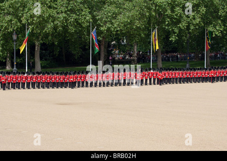 Getting ready for the parade - 7 minutes to go! 'Trooping the Colour' 2010 Stock Photo