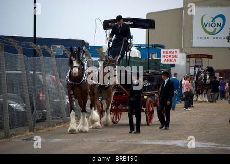 Heavy horses and trailers prior to a competition at the Royal Highland Show, Edinburgh, Scotland. Stock Photo