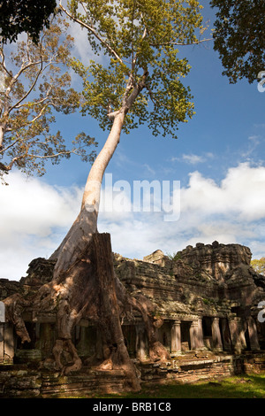 Preah Khan, Siem Reap, Cambodia Stock Photo