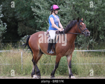 A teenage girl riding a beautiful bay Welsh Cob Stock Photo