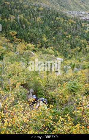 Hikers ascending King Ravine Trail. Located in King Ravine in the White Mountains, New Hampshire USA Stock Photo