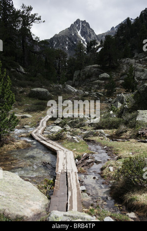 High Alpine forest and Els Encantats mountain peak on Pyrenean Traverse track Sant Maurici National Park Pyrenees Spain Stock Photo