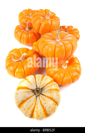 A group of pumpkins on a white surface. Stock Photo
