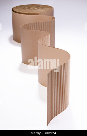 packaging, unrolled single wall corrugated board roll, 2010 Stock Photo