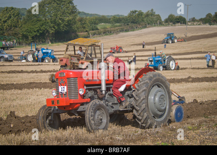 old man ploughing filed Stock Photo