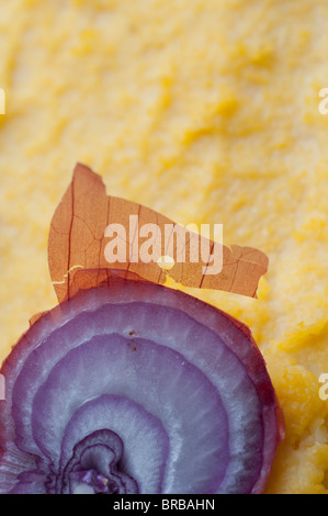 End of a red onion with onion skin attached resting on polenta. Stock Photo