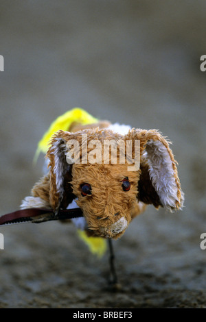 Greyhound Racing Mechanic Rabbit Rabbit lure on a greyhound race track Stock Photo - Alamy