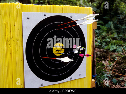 Arrows in bulls eye Stock Photo