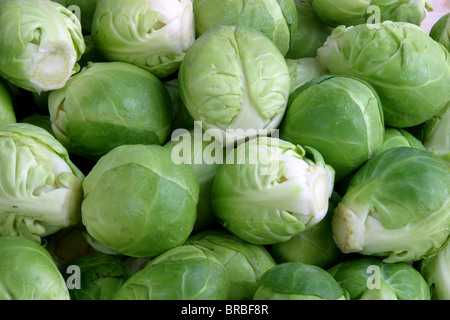brussel sprouts Stock Photo