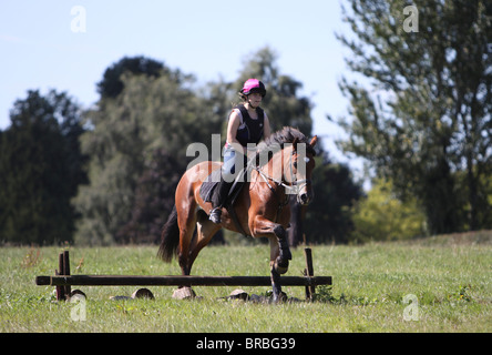 A teeage girl riding a beautiful bay Welsh Cob Stock Photo