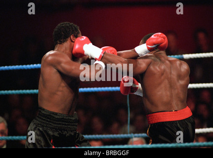 Two boxers exchange punches in ring Stock Photo