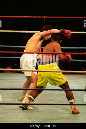 Two boxers exchange punches in ring Stock Photo