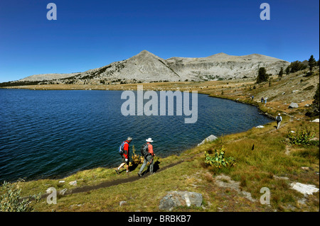 Hiking in Gaylor Lake Sierra Nevada range Yosemite National Park Stock Photo