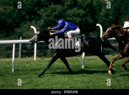 Jockeys urge their horses forward in race Stock Photo