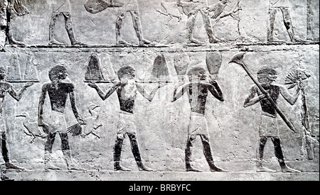 Ti was a royal barber and overseer in Fifth Dynasty Egypt. His tomb at Saqqara included this relief of servitors with  offerings Stock Photo