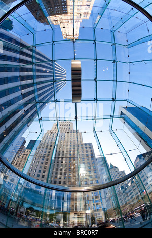 Skyscrapers of Fifth Avenue viewed from below through a glass roofed ceiling, Manhattan, New York City, New York, USA Stock Photo