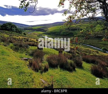 Glenelly Valley, Sperrin Mountains, Co Tyrone, Ireland Stock Photo