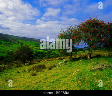 Glenelly Valley, Sperrin Mountains, Co Tyrone, Ireland Stock Photo