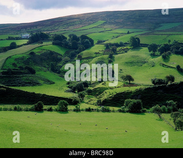 Glenelly Valley, Sperrin Mountains, Co Tyrone, Ireland Stock Photo