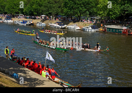Boats competing in the Dragon Boat Challenge charity event in summer on River Ouse York North Yorkshire England UK United Kingdom GB Great Britain Stock Photo