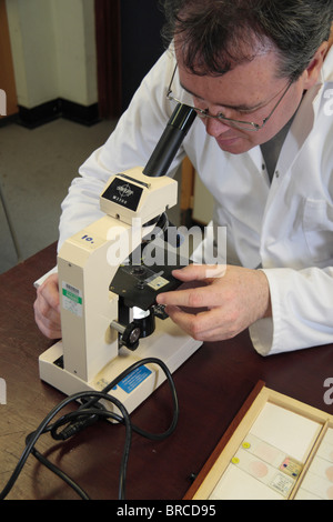 A science technician looking through a microscope in a school laboratory in London, England. Stock Photo