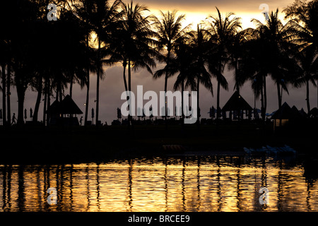 Palm tree silhouettes at sunset in Thailand Stock Photo