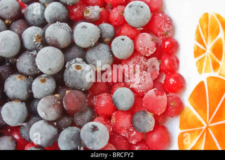 Frozen blackberry and redcurrant on the colorful plate Stock Photo