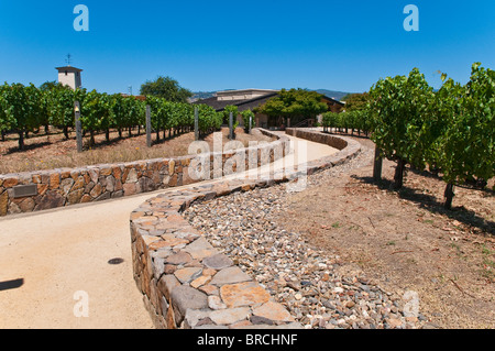 View of the vineyards of the Robert Mondavi Winery, Napa Valley, California, USA Stock Photo