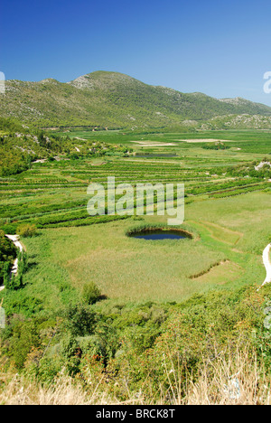 DALMATIAN COAST, CROATIA. The fertile Neretva Delta near Ploce in southern Dalmatia. Stock Photo